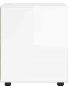 vidaXL Ντουλάπι αποθήκευσης Υψηλής γυαλάδας λευκό 40 x 48 x 57 εκ