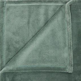 Κουβέρτα Fleece Ημίδιπλη (180x230) A-S Throw Linden 120503F