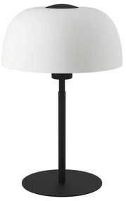Φωτιστικό Επιτραπέζιο Eglo 900142 SOLO 2 Μαύρο Ματ (Black Mat)