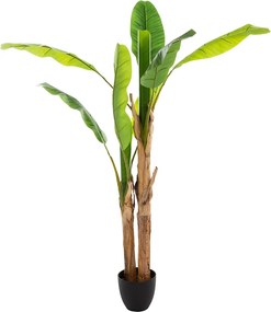 Τεχνητό Δέντρο Μπανανιά (122x119x130) A-S Banana Pot 167300