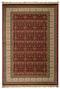 Χαλί (240x340) Βιοκαρπέτ Kirman 6808-1018 Red