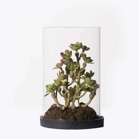 Τεχνητό Φυτό Σέντουμ Cauticola 4260-6 15cm Green Supergreens Polyethylene
