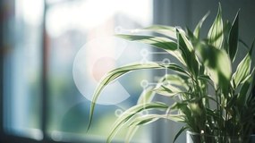 Intra Συλλεκτικό Ξύλινο Παζλ Plywood  4mm - Φυτό σε γλάστρα μπροστά από ανοιχτό παράθυρο Σε Ξύλινο Κουτί - Διαστάσεις: 10x10 cm – 25 κομμάτια