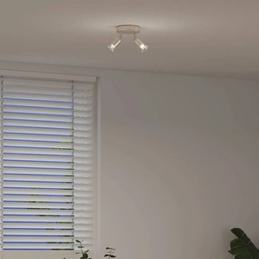 vidaXL Σποτ οροφής με προβολείς Νίκελ 12 x 8 εκ Ατσάλι