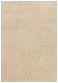 Χαλί Διαδρόμου (80x150) New Plan Ruby 6670B