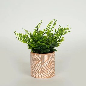 Estheti Φυτό Σε Γλαστράκι Τερρακότα Y18cm Μπεζ-Πράσινο 758-14021