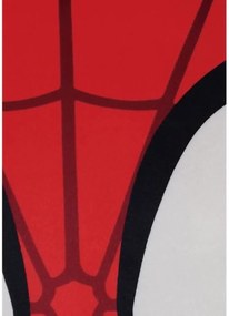 Μαξιλάρι Spidey 41 x 4 x 41 cm Κόκκινο πολυεστέρας Παιδικά