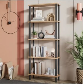 Stewehome Βιβλιοθήκη με 3 ράφια από σανίδα (Λευκό) 52x22x145 cm
