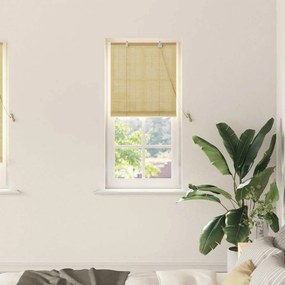 vidaXL Ρολά και Σκίες Παραθύρων Φυσικό 60 x 220 εκ. Μπαμπού