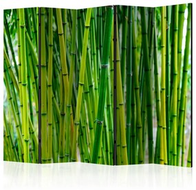 Διαχωριστικό με 5 τμήματα - Bamboo Forest II [Room Dividers] 225x172