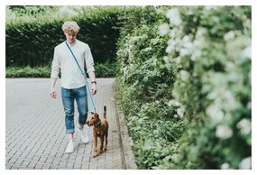 Λουρί Σκύλου Hunter HILO γκράφιτι (200 cm)