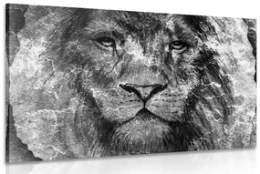 Εικόνα προσώπου λιονταριού σε ασπρόμαυρο - 90x60