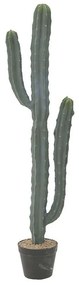 Διακοσμητικός Κάκτος Σε Γλάστρα 3-85-457-0026 Pl Green 24x16x105cm Inart Plastic