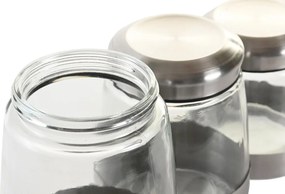 Σετ 3 Δοχεία DKD Home Decor Κρυστάλλινο Ασημί Διαφανές Ανοξείδωτο ατσάλι