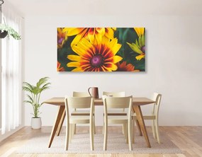 Εικόνα ελκυστικά δίχρωμα λουλούδια - 100x50