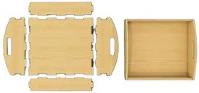 Intra boxOpen Οργάνωσης με Λαβές – Premium Κατασκευή 50x31x10 cm Box05-01064