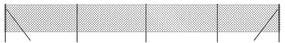 vidaXL Συρματόπλεγμα Περίφραξης Ανθρακί 1,1 x 10 μ.