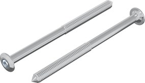 vidaXL Βίδα 2 pcs Ασημί M6 x 85 χιλ. Ατσάλι