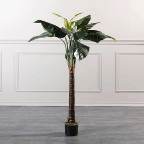 Τεχνητό Δέντρο Αλοκάσια 4760-6 60x60x150cm Green Supergreens Polyethylene