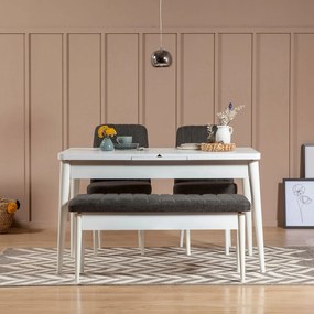 Ταμπουρέ Λευκό / Ανθρακί VINA 110x40x48