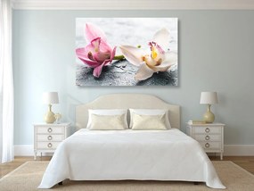 Εικόνα δύο πολύχρωμων λουλουδιών ορχιδέας - 90x60