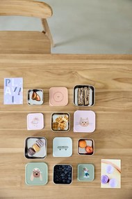 Laessig Snackbox set inox, Tiny Team cat