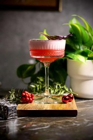 Martini Glass Set (4 Pieces) PB-440436 Transparent