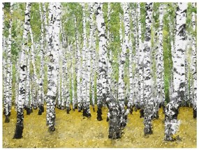 Φωτοταπετσαρία - In birch grove... 350x270