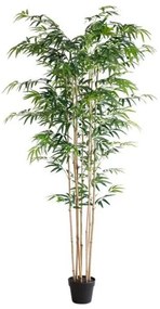 New plan BAMBOO NP0070_210 ΥΨΟΣ 210cm Τεμαχιο