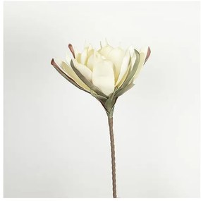 Λουλούδι/Κλαδί Foam Κρεμ 90cm 758-12043 Estheti-758-12043-Μπεζ 758-12043