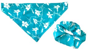 Σετ Μπαντάνα Σκύλου και Scrunchy 25x15 DES 008
