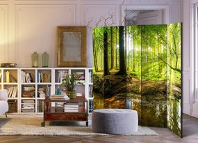 Διαχωριστικό με 5 τμήματα - Forest Lake II [Room Dividers] 225x172