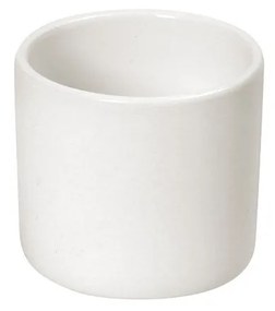 SIDERS ΘΗΚΗ ΓΙΑ ΟΔΟΝΤΟΓΛΥΦΙΔΕΣ IVORY 4,7Χ4,7Χ4,7ΕΚ ΣΕΤ 12 τμχ - Espiel