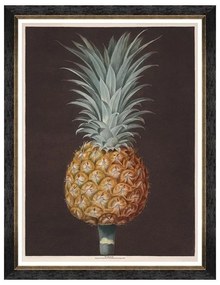 Κάδρο Pineapples Of Antigua - The Antigua Pine By Brookshaw FA13199 60X80 MindTheGap Κάθετοι Ξύλο