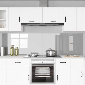 vidaXL Πίσω Πάνελ Κουζίνας 2 pcs Ανοιχτό γκρι 110 x 60 cm