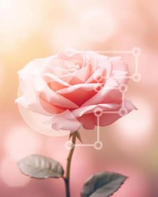 Intra Συλλεκτικό Ξύλινο Παζλ Plywood 4mm - Μονό ροζ τριαντάφυλλο με φωτισμό Bokeh Σε Ξύλινο Κουτί - Διαστάσεις: 10x10 cm – 25 κομμάτια