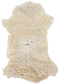 vidaXL Γούνα Προβάτου Κρεμ (60-70) x (90-100) εκ.