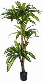 Τεχνητό Δέντρο Dracaena I 316-000009 170cm Green Inart Πολυπροπυλένιο