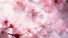 Intra Συλλεκτικό Ξύλινο Παζλ Plywood  4mm - Ροζ λουλούδια σε άσπρο φόντο Σε Ξύλινο Κουτί - Διαστάσεις Puzzle: 10x10 cm – 25 κομμάτια