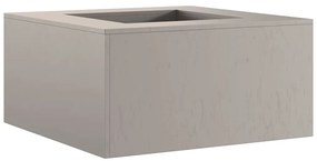 vidaXL Τζάκι Τετράγωνο 80x80x40 εκ. από Ανοξείδωτο Χάλυβα