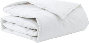 vidaXL Χειμερινό Παπλωματοθήκη Λευκό 140 x 220 cm Φτερό