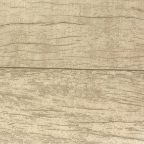 Δάπεδο Πλαστικό Piza 303004 Vintage Wood Light 200X