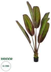 20118 GloboStar® Artificial Garden BLOODY BANANA TREE 20118 - Τεχνητό Διακοσμητικό Φυτό Αιματόφυλλη Μπανανιά - Μπανανόδεντρο Υ190cm
