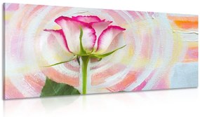 Εικόνα ενός δίχρωμου τριαντάφυλλου σε καμβά ουράνιου τόξου - 100x50