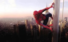 Φωτοταπετσαρία Spiderman 5