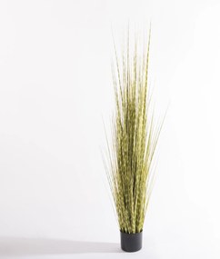 Supergreens Τεχνητό Φυτό Στίπα Zebra Πράσινο 170 εκ. - 9390-6