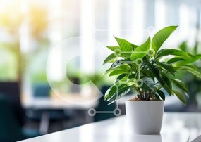 Intra Συλλεκτικό Ξύλινο Παζλ Plywood 4mm - Λευκό φυτό σε γλάστρα στο γραφείο Σε Ξύλινο Κουτί - Διαστάσεις Puzzle: 10x10 cm – 25 κομμάτια