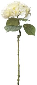 Τεχνητό Λουλούδι Ορτανσία 00-10037-2 65cm Ecru Marhome Συνθετικό Υλικό