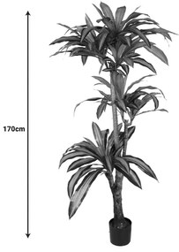 Διακοσμητικό φυτό Dracaena I σε γλάστρα Inart  πράσινο pp Υ170εκ