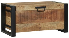 vidaXL Κουτιά Αποθήκευσης 60x30x30εκ Μασίφ Ξύλο Μάνγκο και Μέταλλο